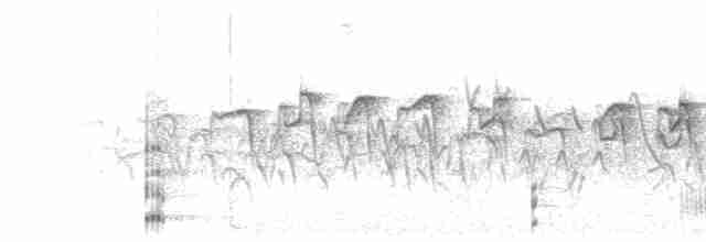 Pseep Series (juvenile)