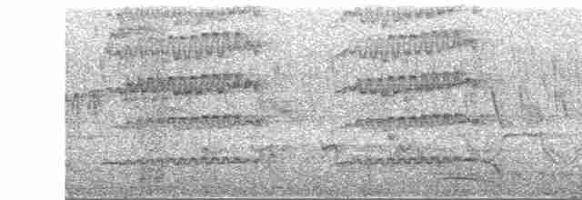 Eurasian Kestrel (Eurasian) - ML431960581