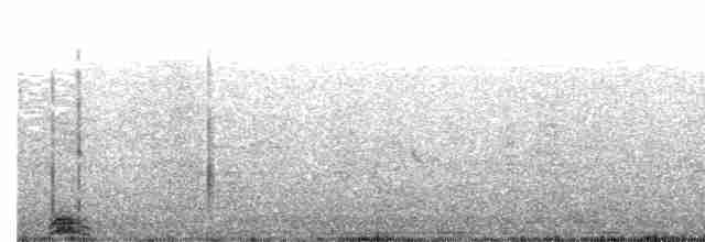 Bulwersturmvogel - ML432001761