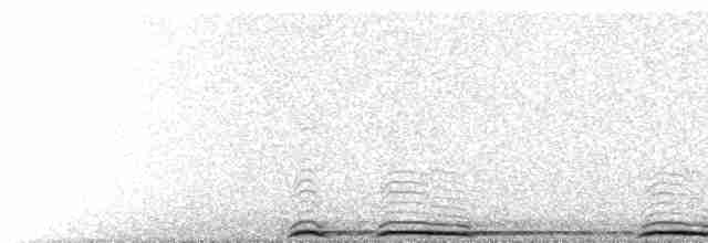 Song (male)