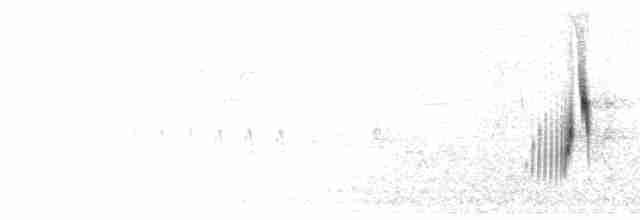 Song