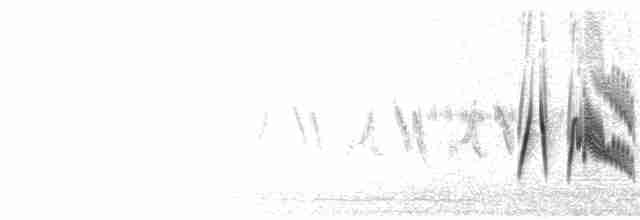 Song