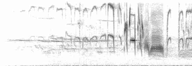 Gurgle Song & Twitter of Psiplike notes