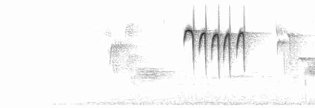 Seet Series & brief Chitters of C notes