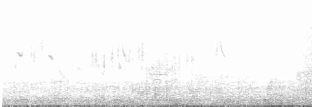 Eastern Subalpine Warbler - ML432197161