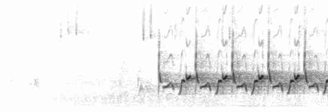 Song (couplet series)