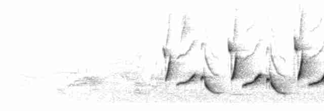 Song (triplet series)
