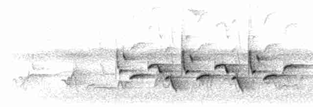 Song (quadruplet series)