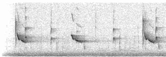 Pip & Peer (variant of Peeder)