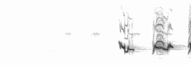 Song (Cheerio & Hissely phrases; typical at dawn)