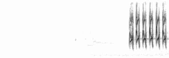 Whinny (notes Cheeplike)