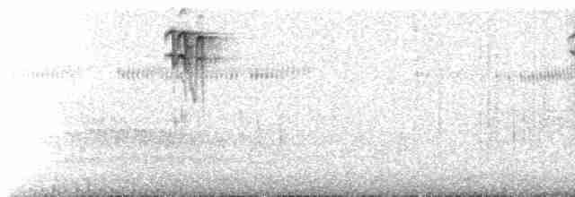 Seetlike notes (begging juvenile)