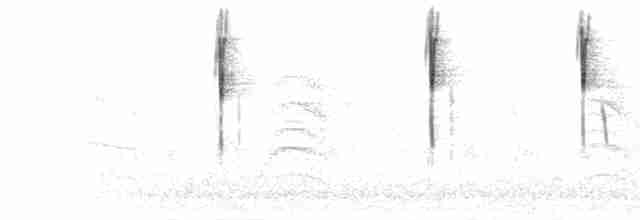 Song (disjunct, with many Chiplike notes)