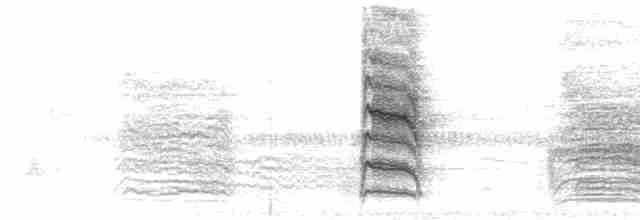 Whine & Mew variants