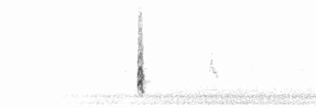 Chup (juvenile)