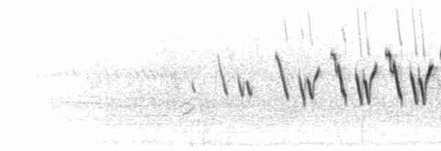 Song (couplet series)