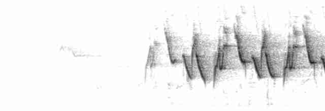 Song (quadruplet series)