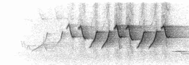 Song (quadruplet series)