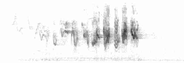 Subsong (late summer)