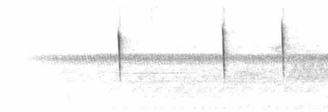 Song (with Chiplike calls, at dawn)