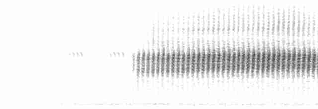 Song