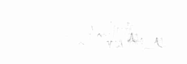 Song (unusual 2-parted version)