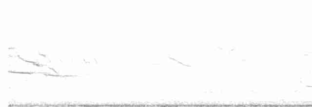 Болотный крапивник - ML432363981