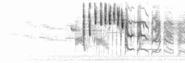 Twitter & Whine Series