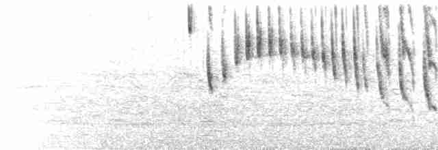 Twitter, Whine Series, Tink, etc.