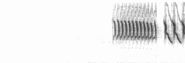 Song (2-parted version)