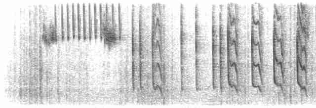 Tew Series, Twitter, & Dzit