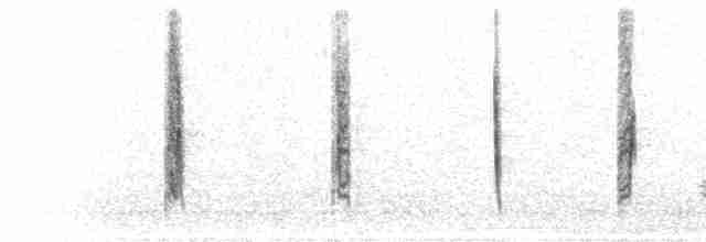 Various calls (high agitation)