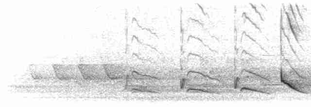 Song (3 simple series)