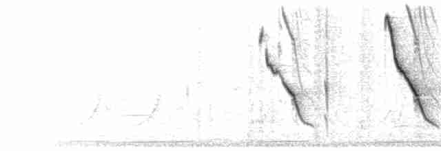 Song (simple series, then trill)