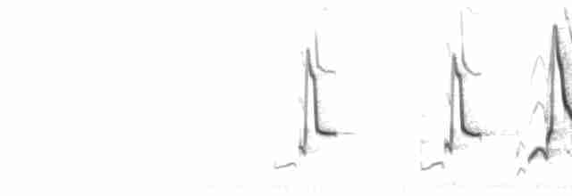 Song (2 couplet series) & Spit