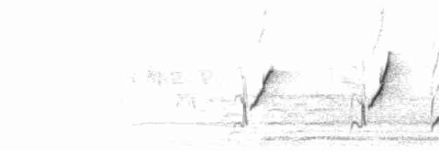 Song (couplet series, simple series, then churr)