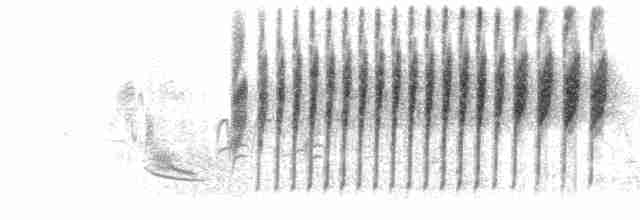 Rattle & partial Complex Song