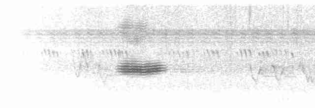 Veet, Rattle, & Dzert