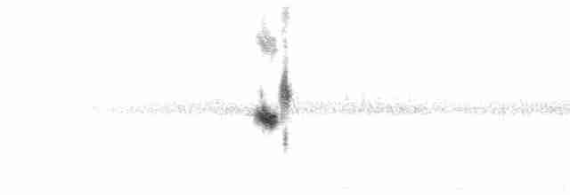 Veet (2-syllabled) & Rattle