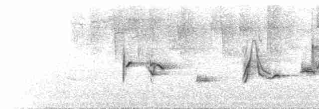 Disjunct Song
