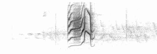 Song (Disjunct)