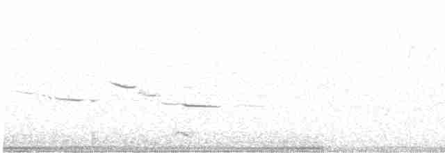 Eastern Meadowlark - ML432503651
