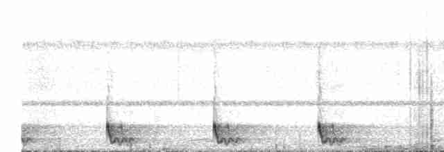 Large-tailed Nightjar - ML432558141
