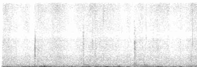 Ring-necked Pheasant - ML432734721