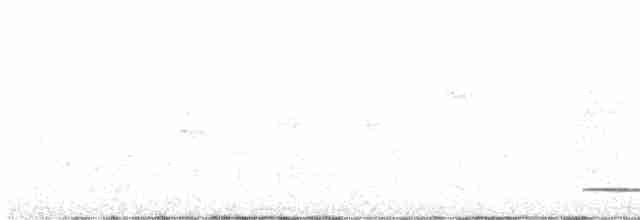 Thicket Tinamou - ML432735211