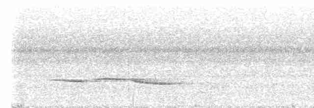 White-necked Babbler - ML432799251