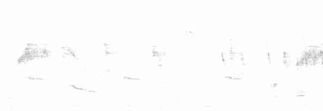 Зозуля білогорла - ML432804171