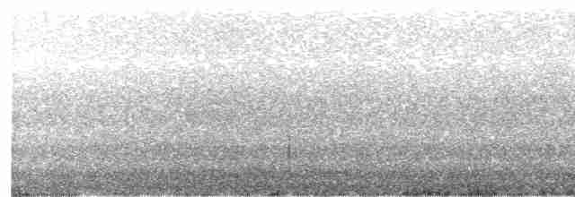 Klappergrasmücke (curruca/blythi/halimodendri) - ML432819821