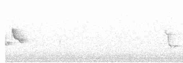 Мангровая белоглазка - ML432871701