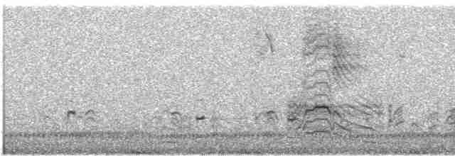 Мраморный чирок - ML432884401